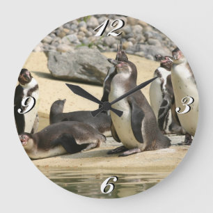 Humboldt Penguins, Clock