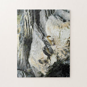 Humboldt Penguins. Jigsaw Puzzle