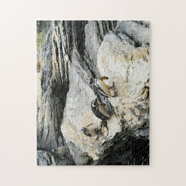 Humboldt Penguins. Jigsaw Puzzle (Vertical)