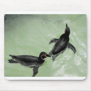 Humboldt penguins mouse pad