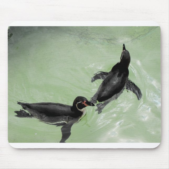 Humboldt penguins mouse pad (Front)