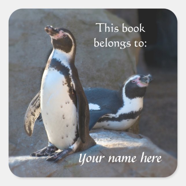Humboldt Penguins "This book belongs to" Sticker (Front)