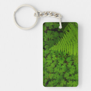 Humboldt Redwoods State Park Key Ring