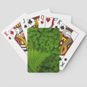 Humboldt Redwoods State Park Playing Cards