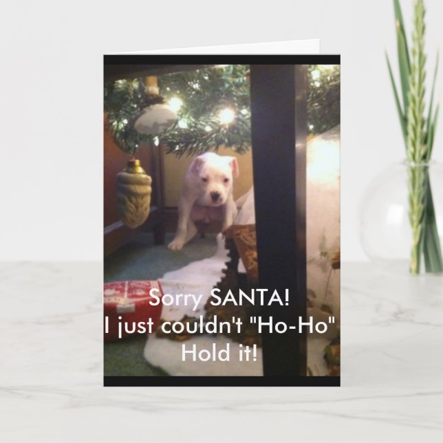 Humerous CHRISTMAS CARD! Holiday Card (Front)