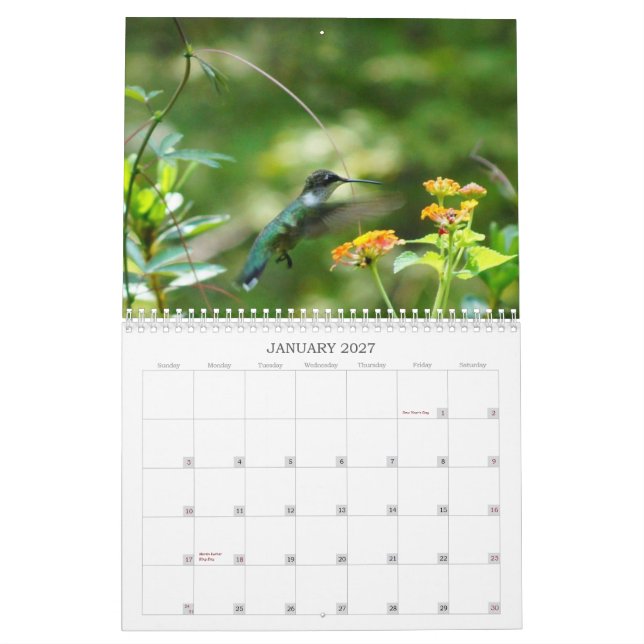 Humm with Me! Calendar (Jan 2027)