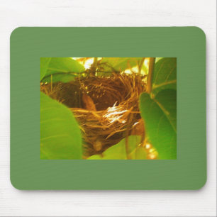 Hummiing Bird Nest Mouse Pad