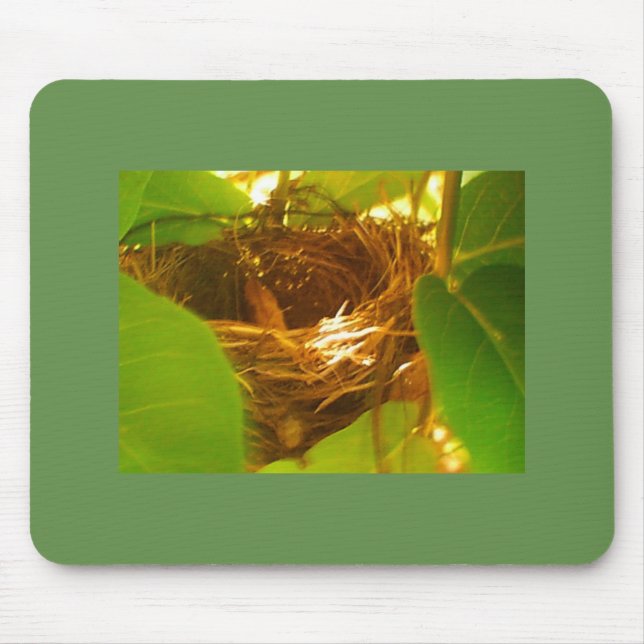 Hummiing Bird Nest Mouse Pad (Front)