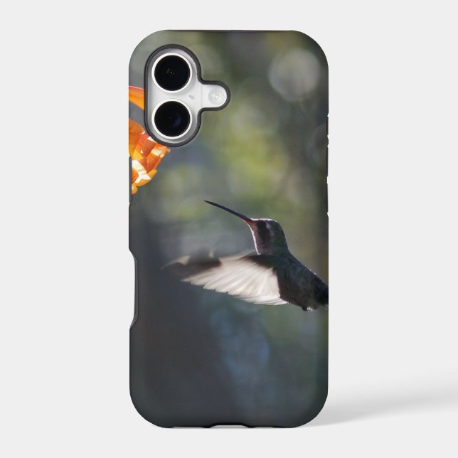Humming Bird (Back)