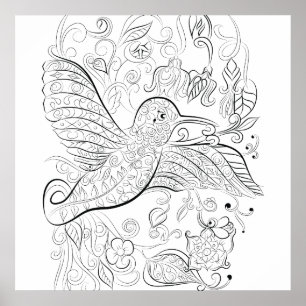 Humming bird design: Colouring poster
