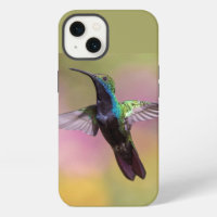 Humming Bird