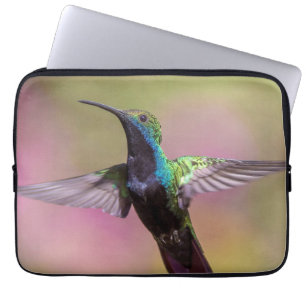 Humming Bird Laptop Sleeve