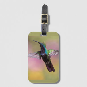 Humming Bird Luggage Tag