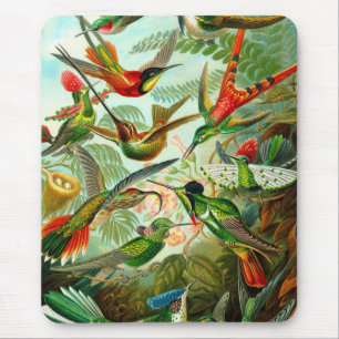 Humming Bird Mouse Pad