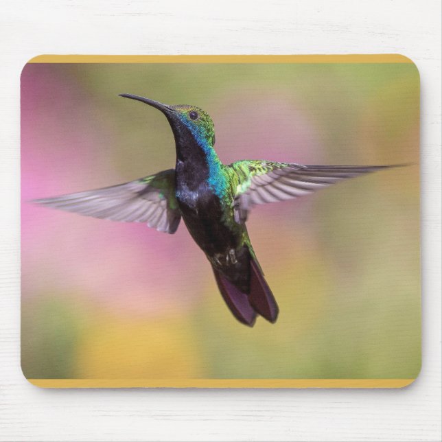 Humming Bird  Mouse Pad (Front)