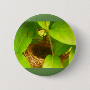 Humming Bird Nest Nestled in Honeysuckles Button