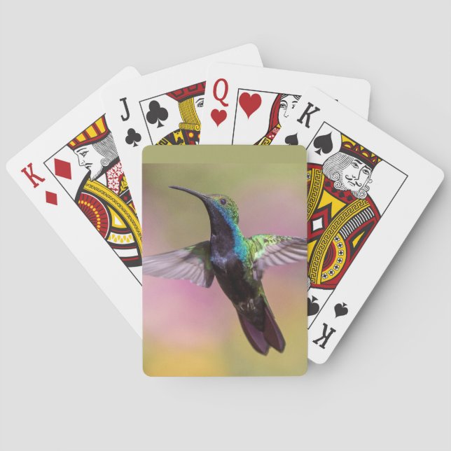 Humming Bird  Playing Cards (Back)