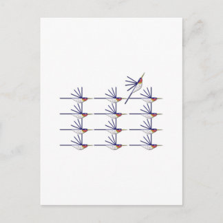 Humming Bird Postcard