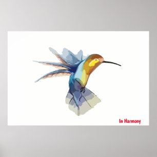 Humming Bird Poster