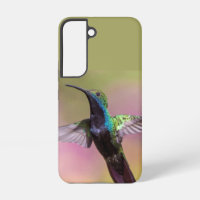 Humming Bird
