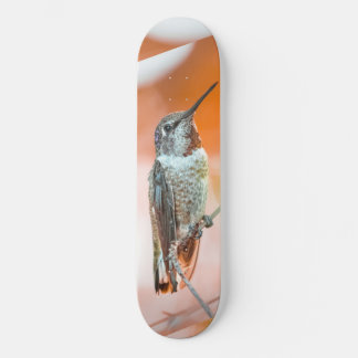 Humming bird skateboard