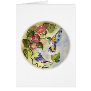 Humming Birds