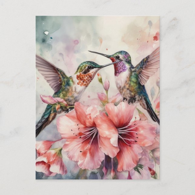 Humming Birds and Flowers Postcard (Front)
