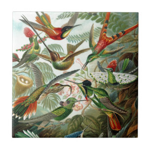 Humming Birds Paradise art Ceramic Tile