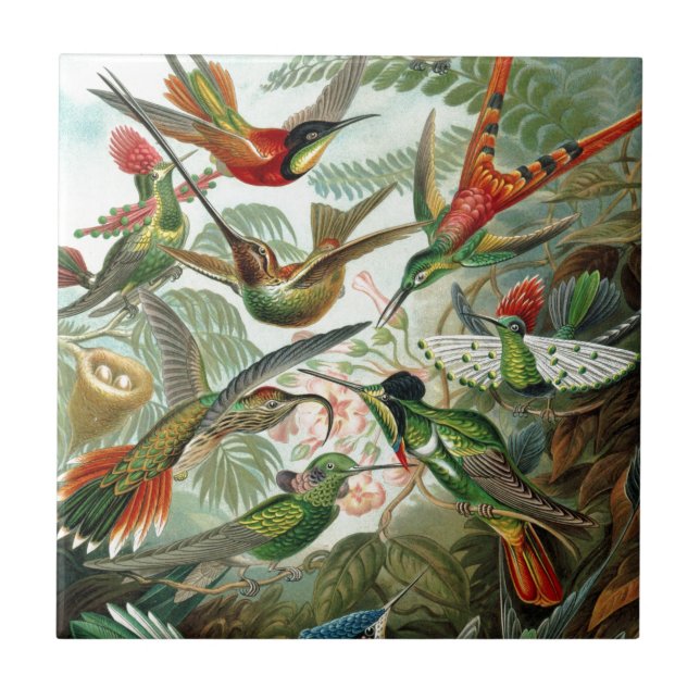 Humming Birds Paradise art Ceramic Tile (Front)