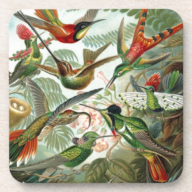 Humming Birds Paradise art Coaster (Front)