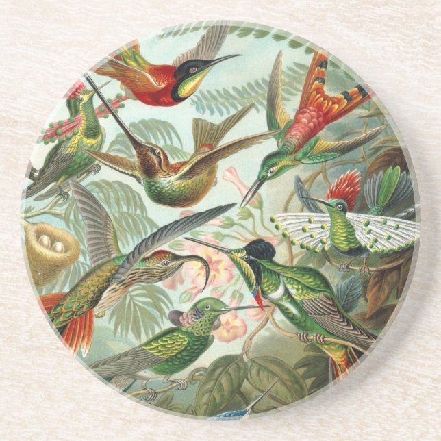 Humming Birds Paradise art Coaster (Front)