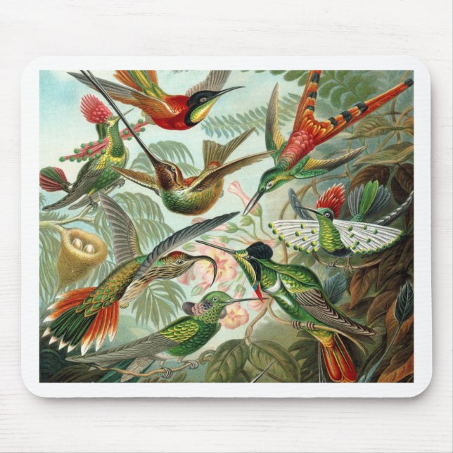 Humming Birds Paradise art Mouse Pad (Front)