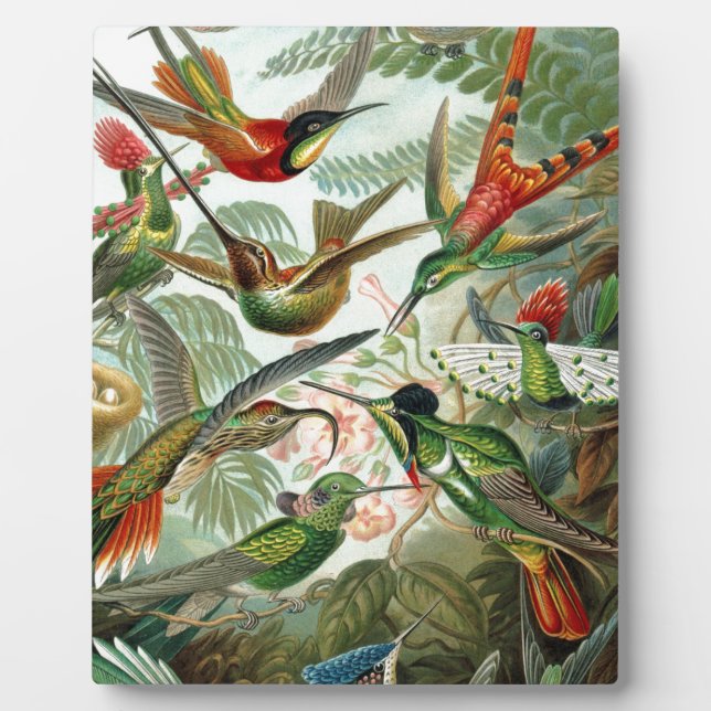 Humming Birds Paradise art Plaque (Front)