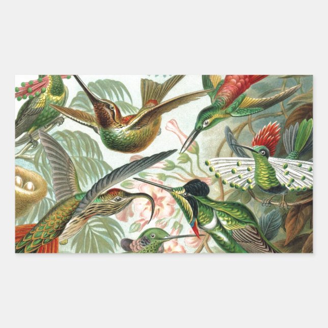 Humming Birds Paradise art Rectangular Sticker (Front)