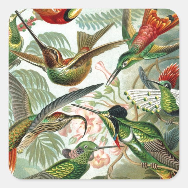 Humming Birds Paradise art Square Sticker (Front)
