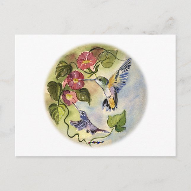 Humming Birds Postcard (Front)