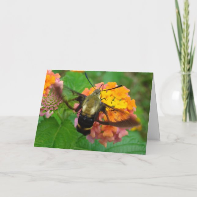 Humming! Card (Front)