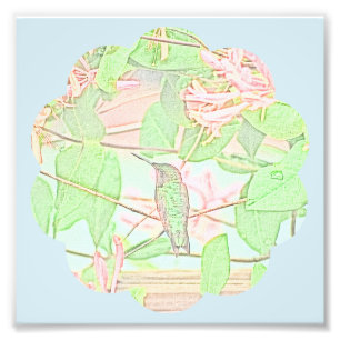 Humming on Honey Photo Print