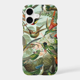 Hummingbird