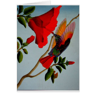 Hummingbird