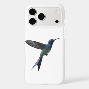 Hummingbird