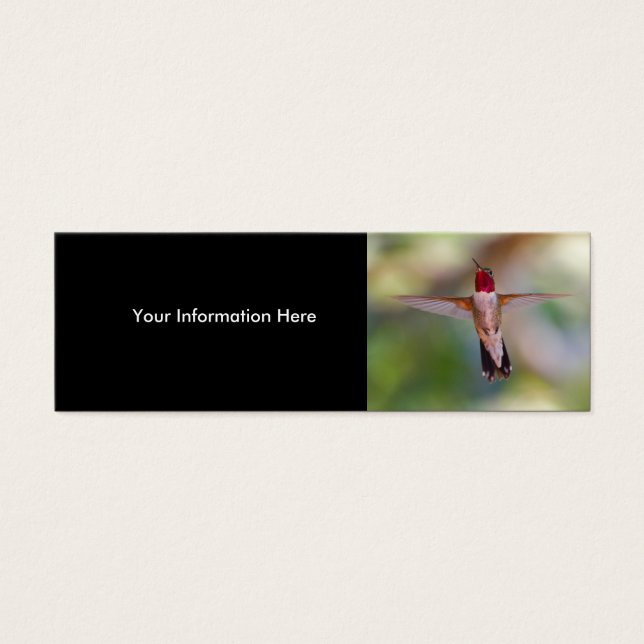 hummingbird (Front)