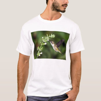 Hummingbird 10 T-Shirt