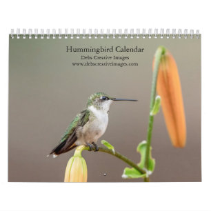 Hummingbird 2026 Calendar Wildlife by Debbie Quick