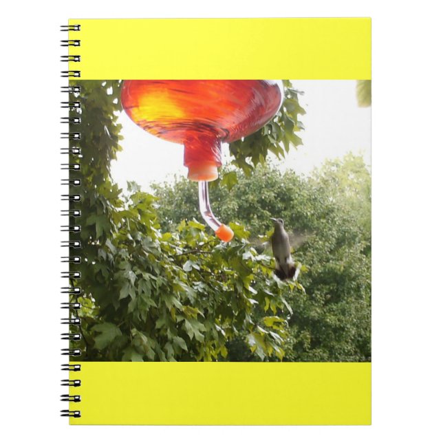 Hummingbird 2 Notebook (Front)