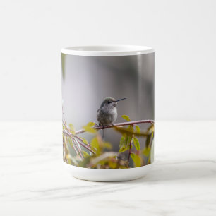 Hummingbird 3346 coffee mug