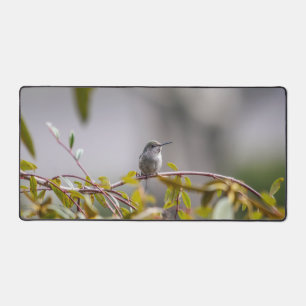 Hummingbird 3346 desk mat