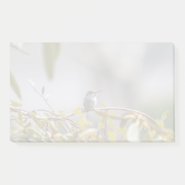 Hummingbird 3346 post-it notes (Front)