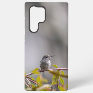 Hummingbird 3346 samsung galaxy case