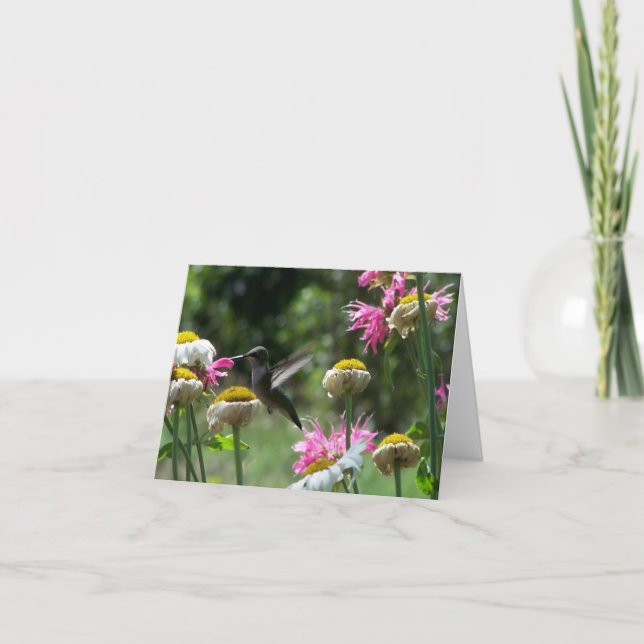 Hummingbird 4 card (Front)